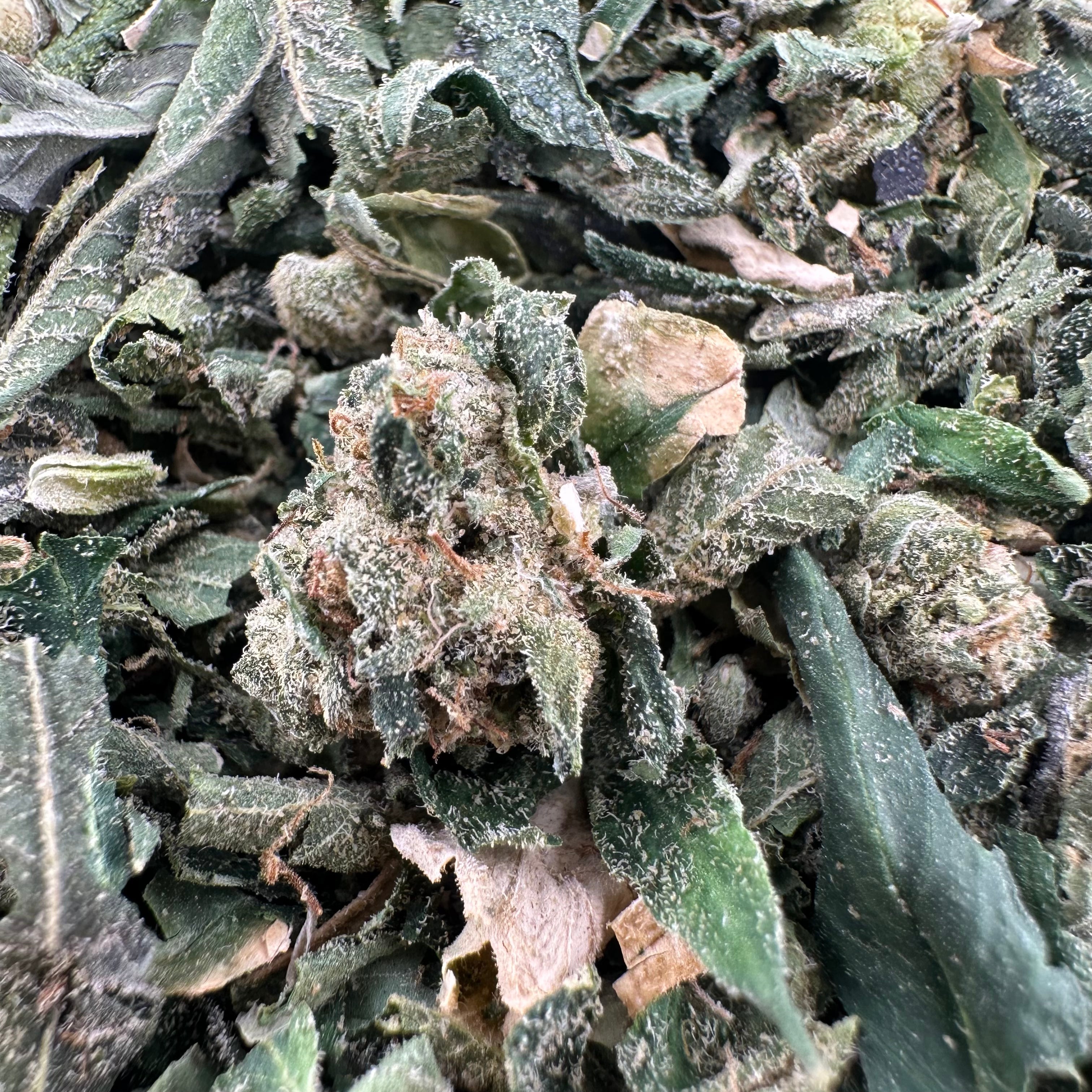 Cali Gas