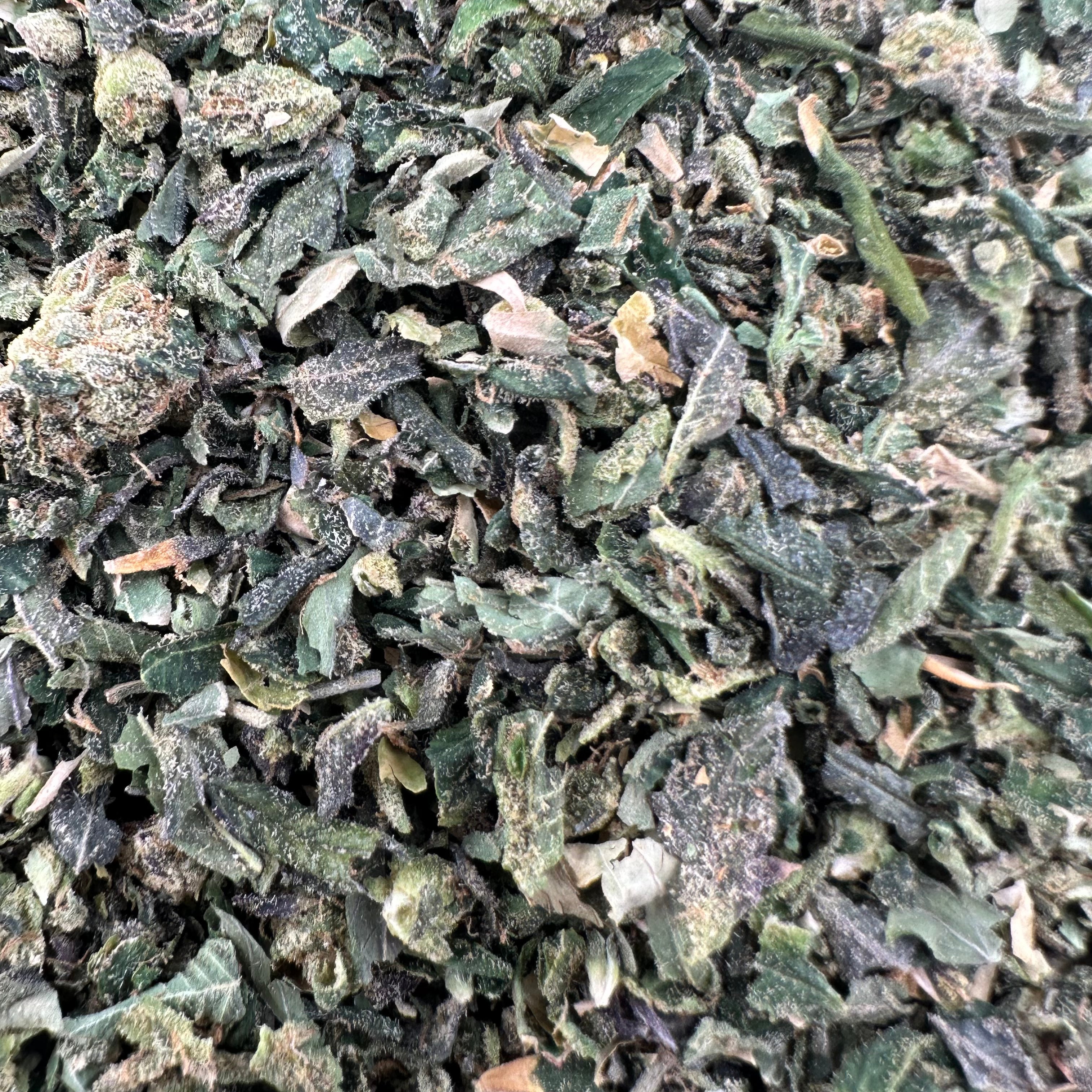Lemon Cherry Gelato