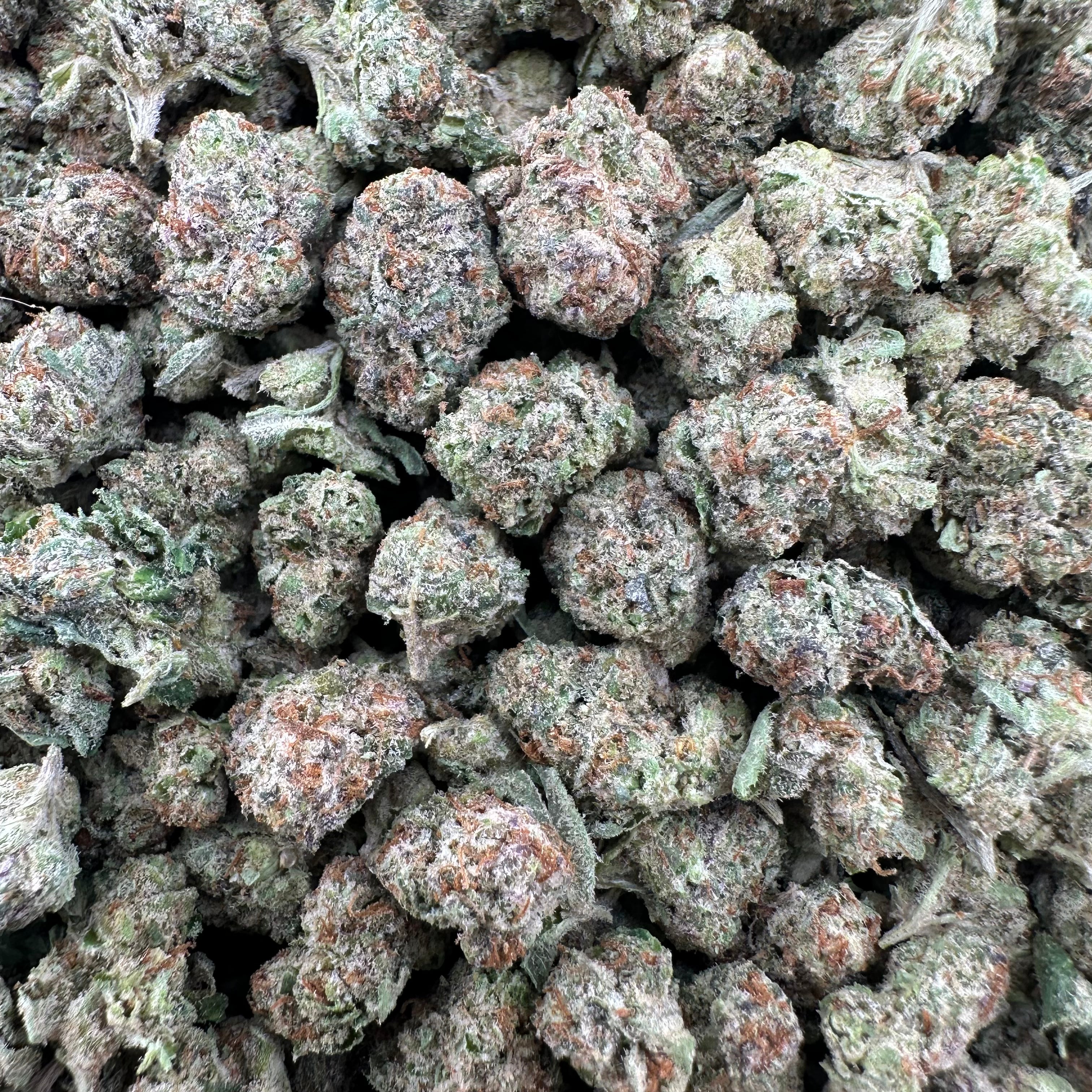 Cali Gas