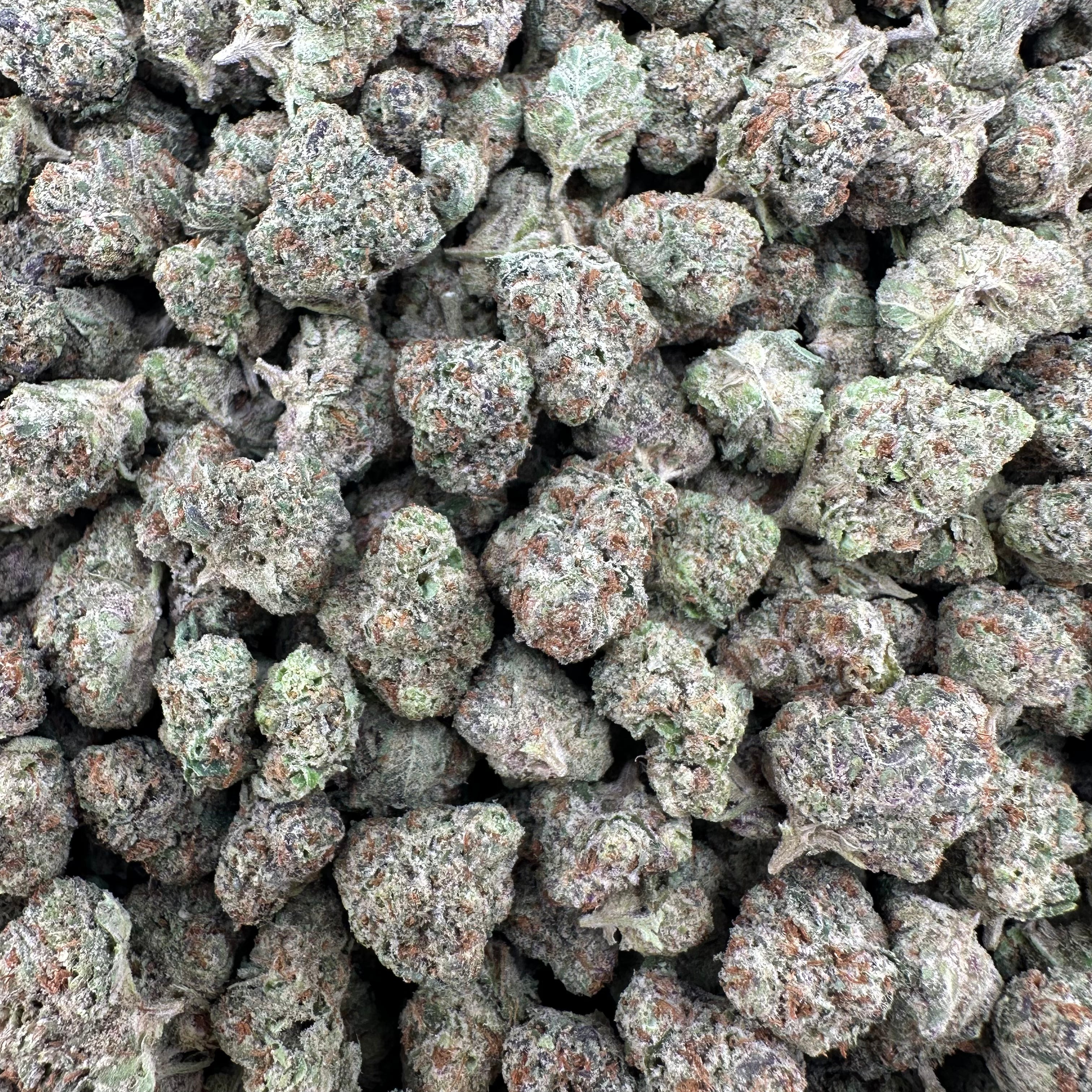 Icy Pops