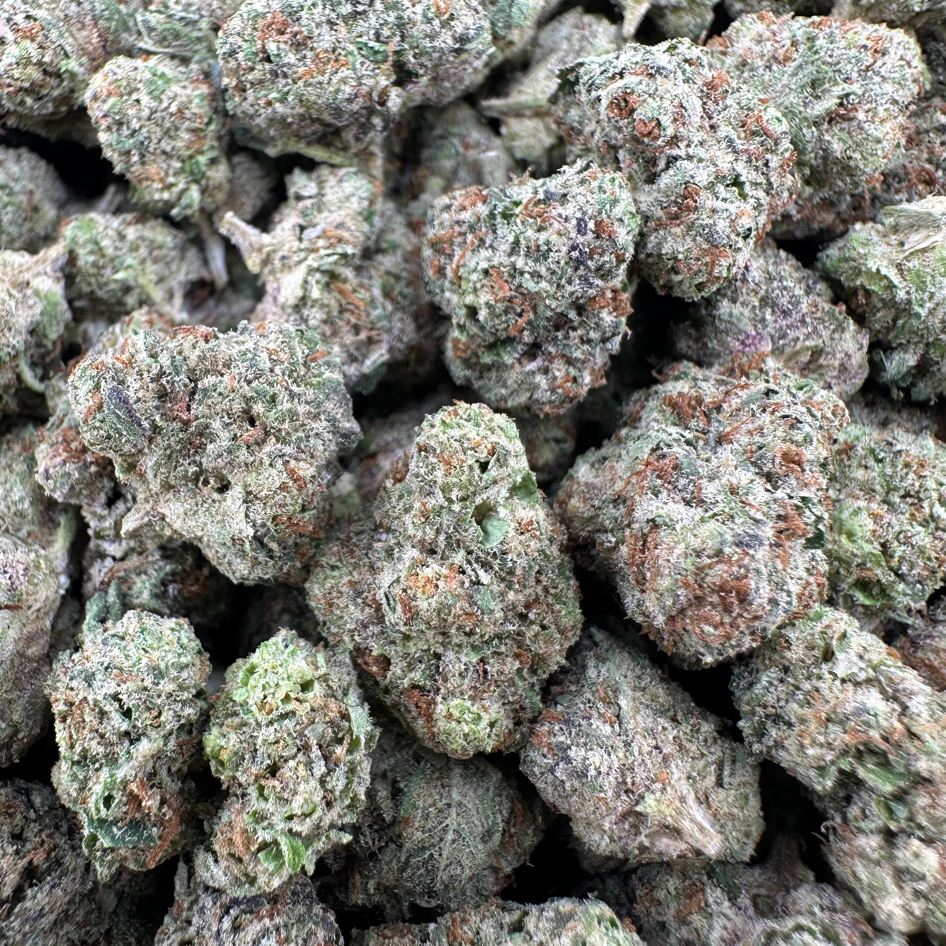 Icy Pops