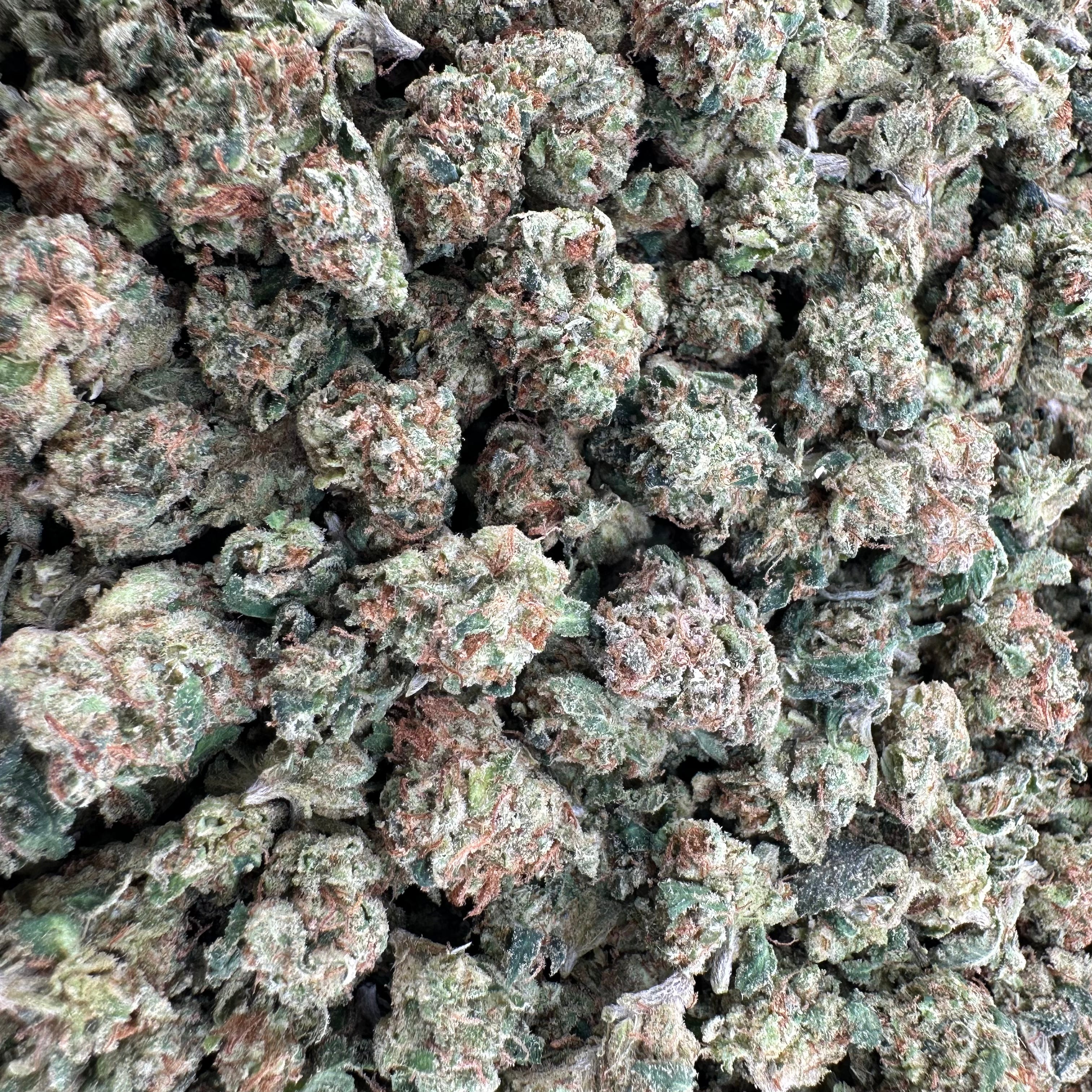 Orange 43
