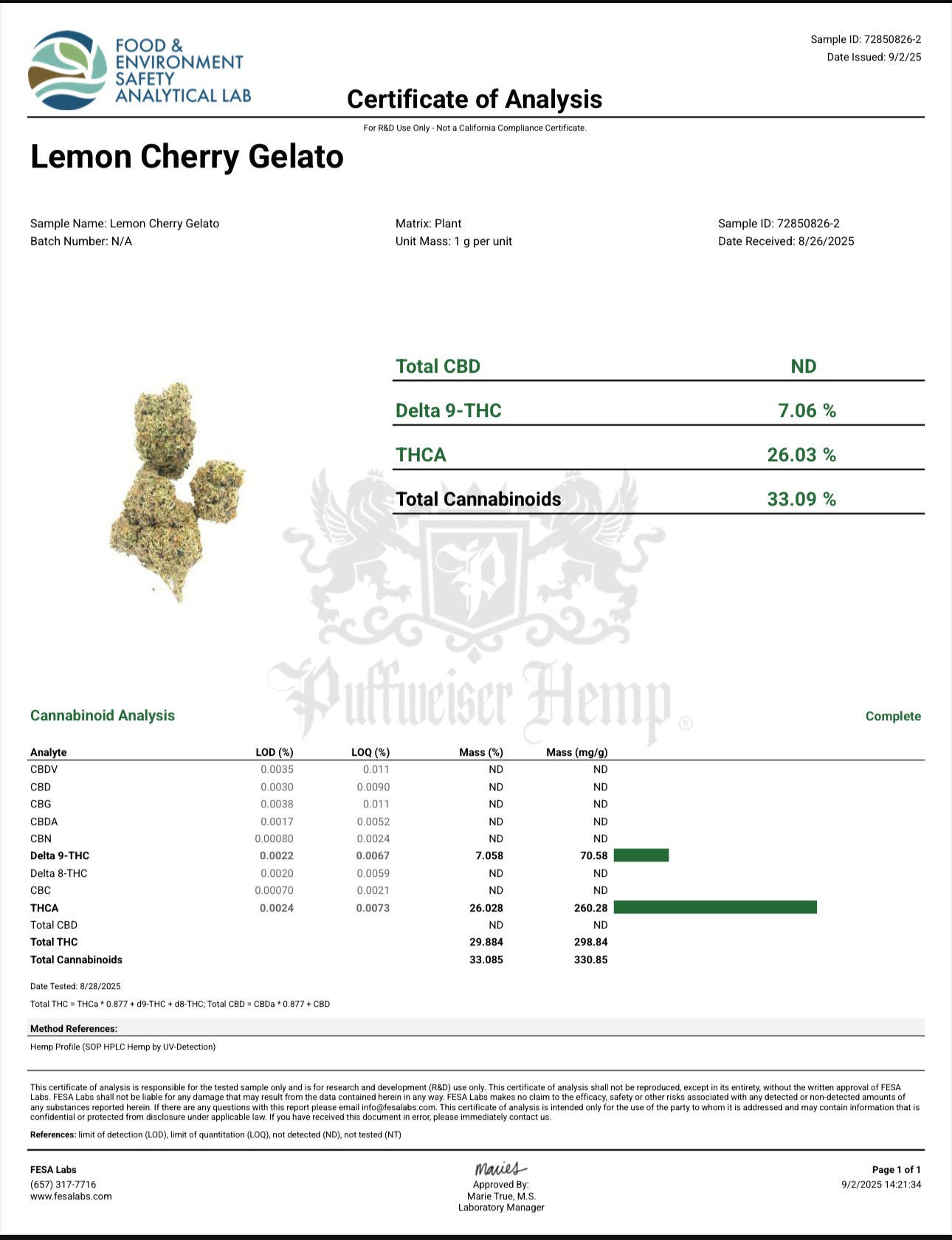 Lemon Cherry Gelato