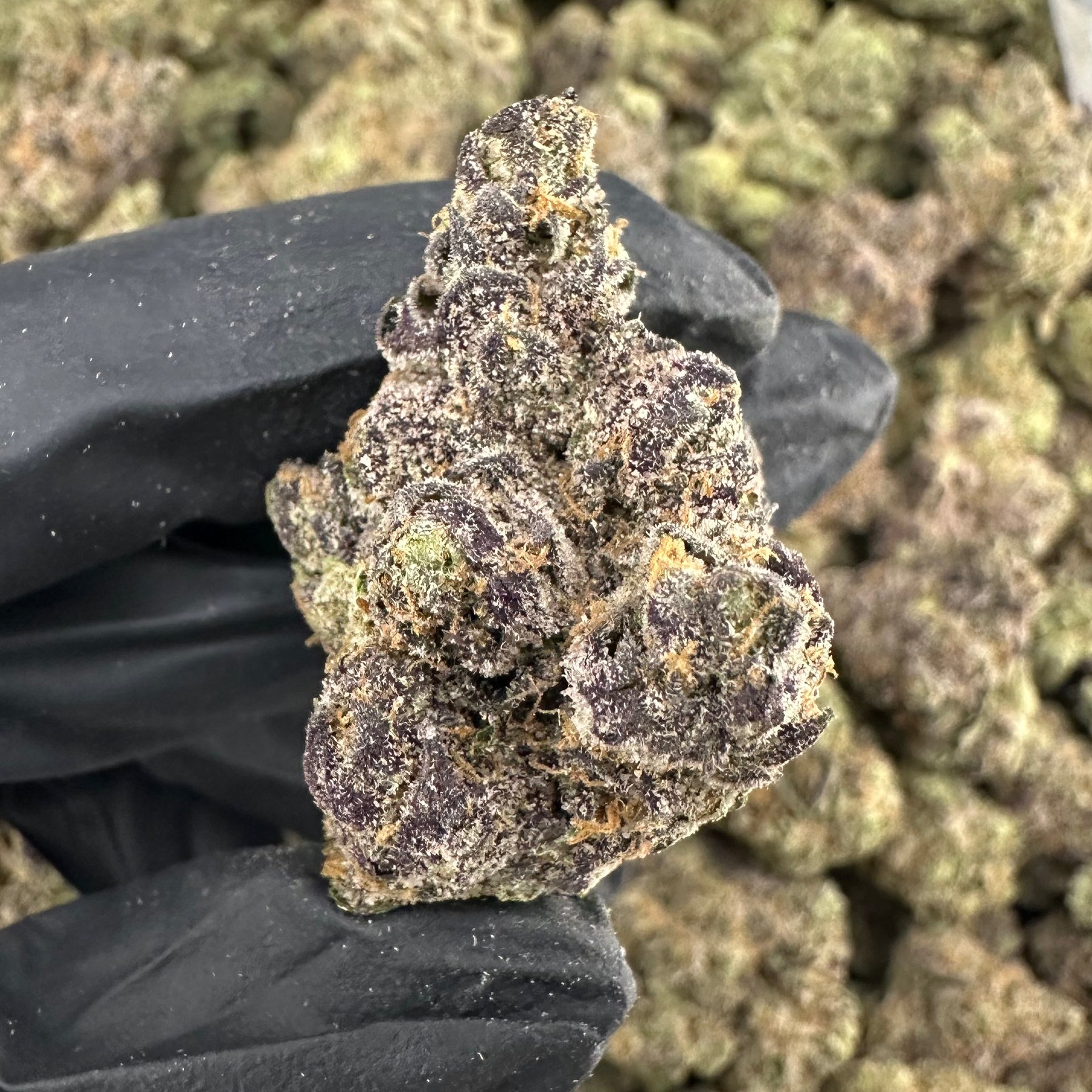 Sour Diesel Flower