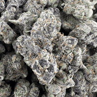 Apple Fritter