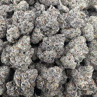 Apple Fritter