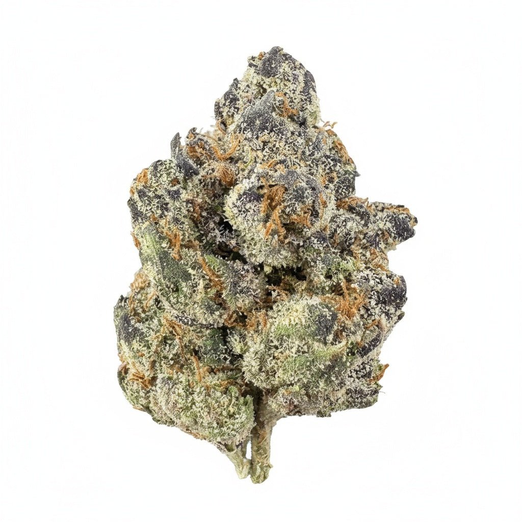 Apple Fritter