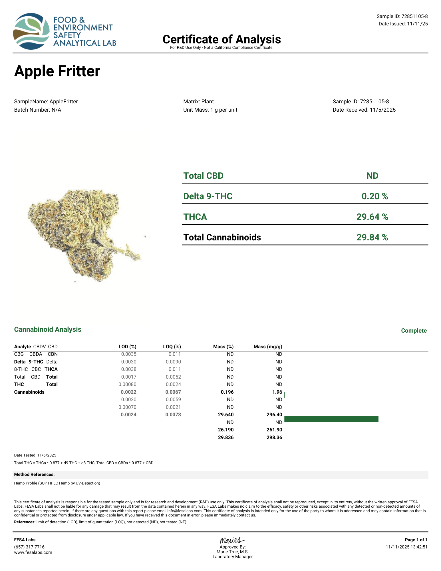 Apple Fritter Flower