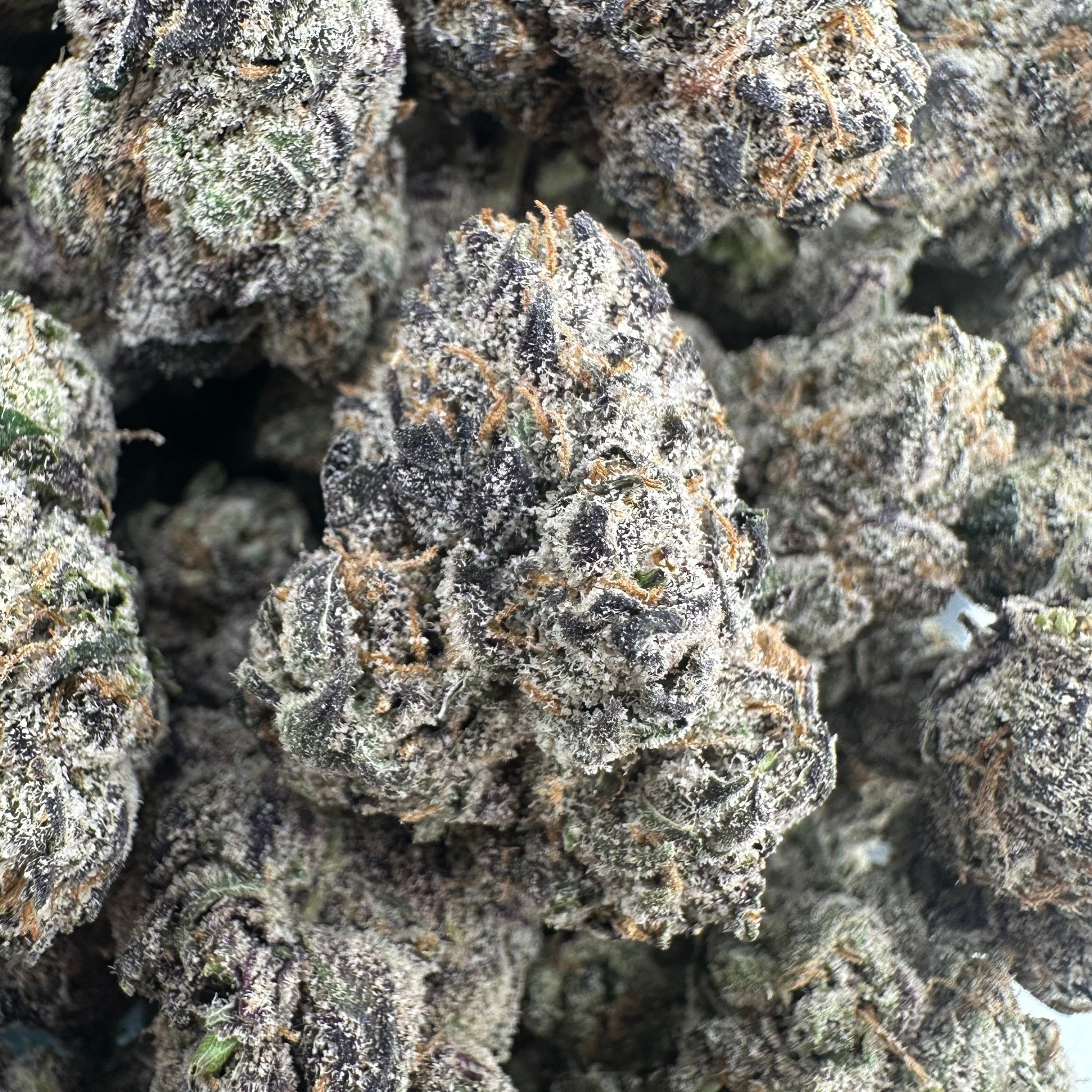 Biscotti