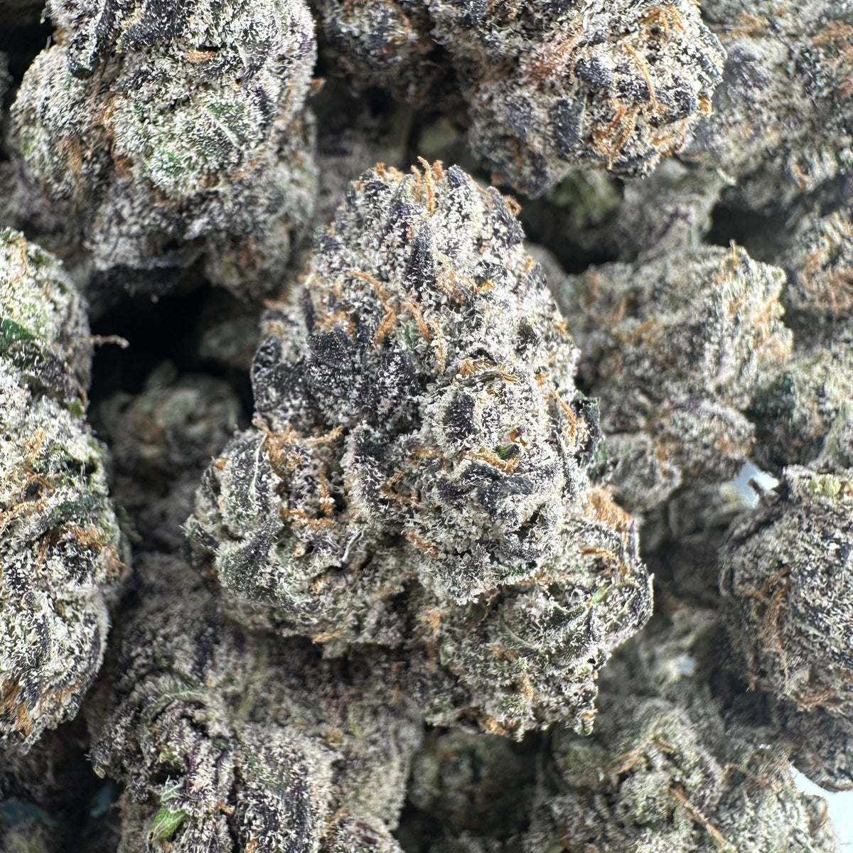 Biscotti