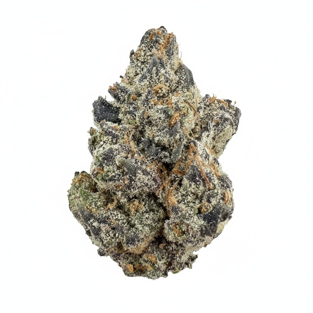 Biscotti Flower Wholesale