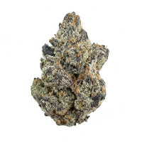 Biscotti Flower Wholesale