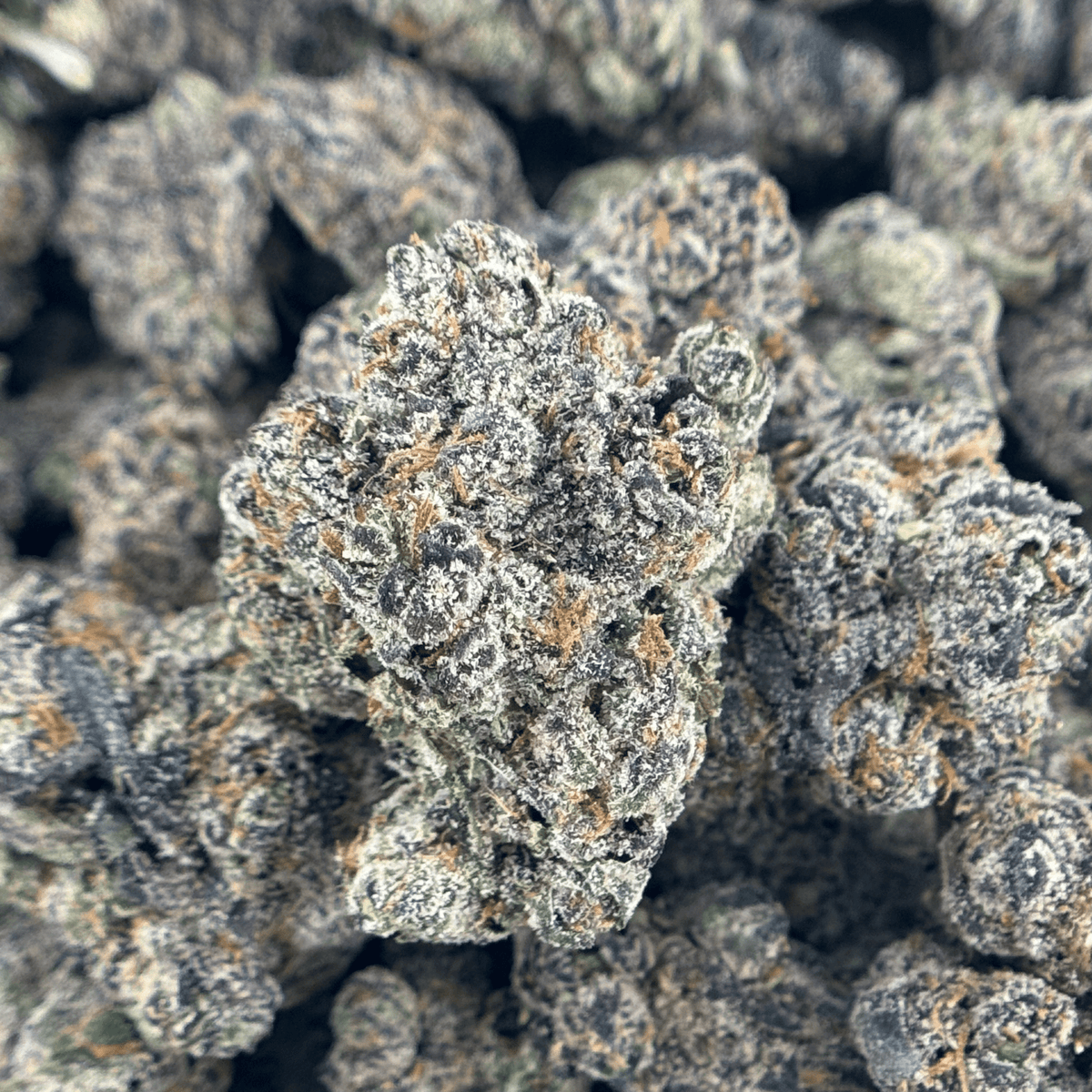 Blue Dream Flower Wholesale
