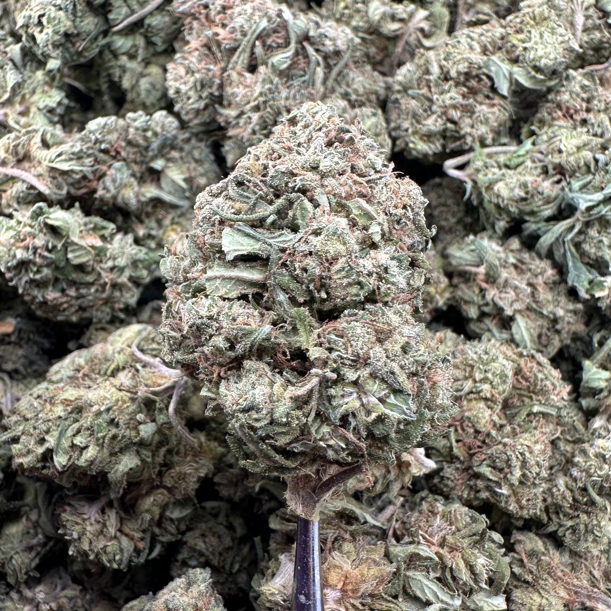 (BOGO)White Widow 14G Flower