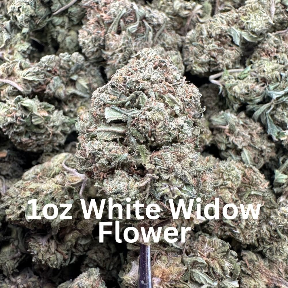 Boss Crazy - 5OZ Special for $99.99