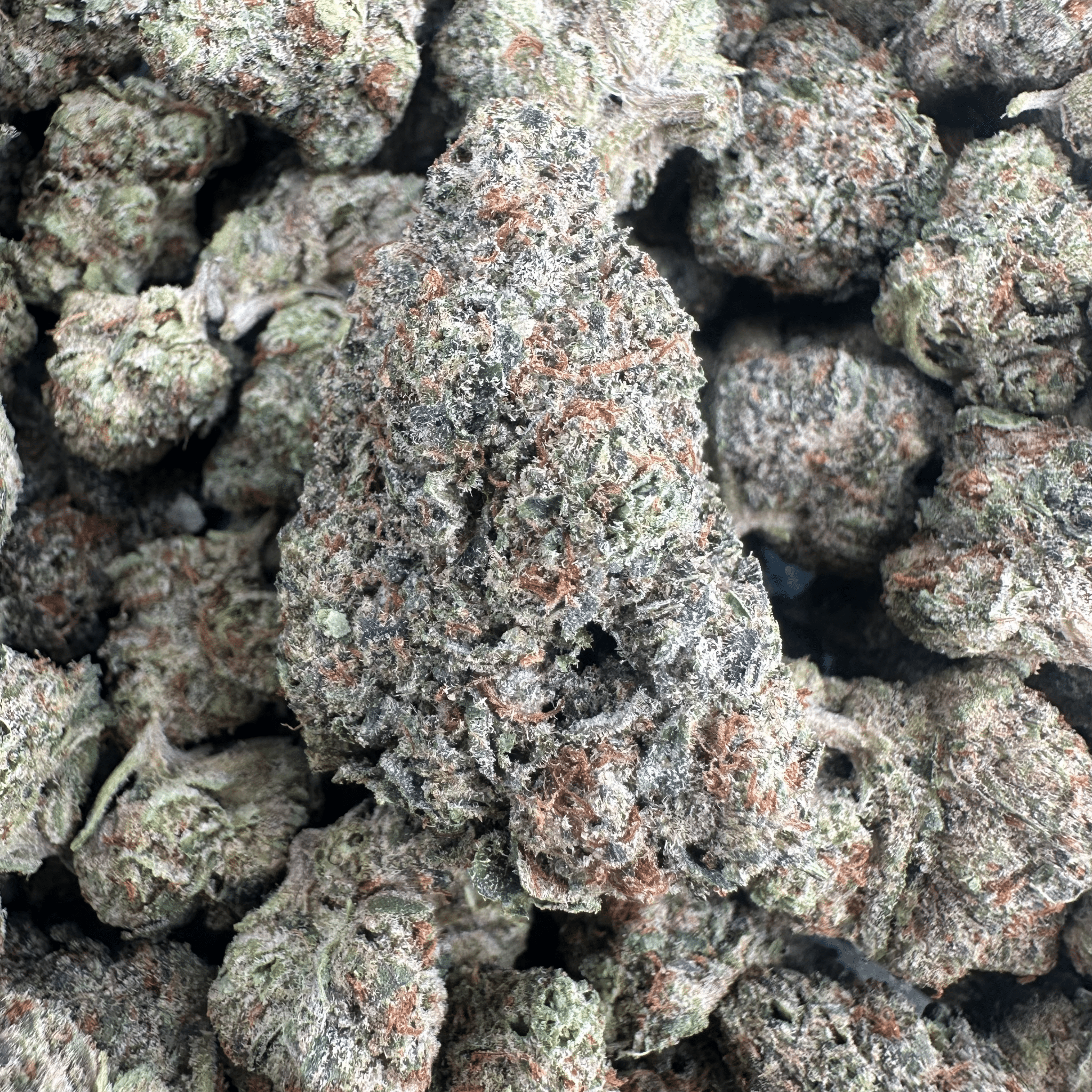 Cali Gas
