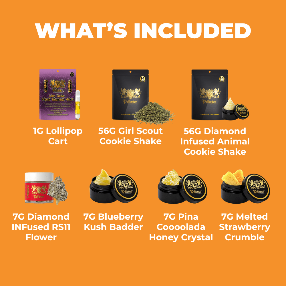 Essential Bundle