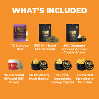 Essential Bundle