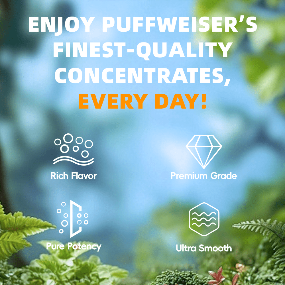 Honey Crystal - Zanana