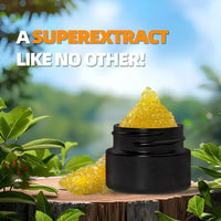 February Special - Honey Crystal 14G New Flavor Sales