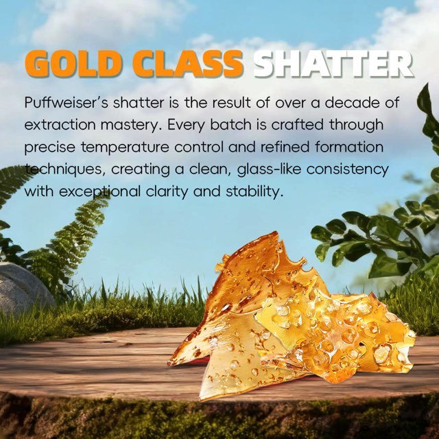 Shatter - Sour Tangie