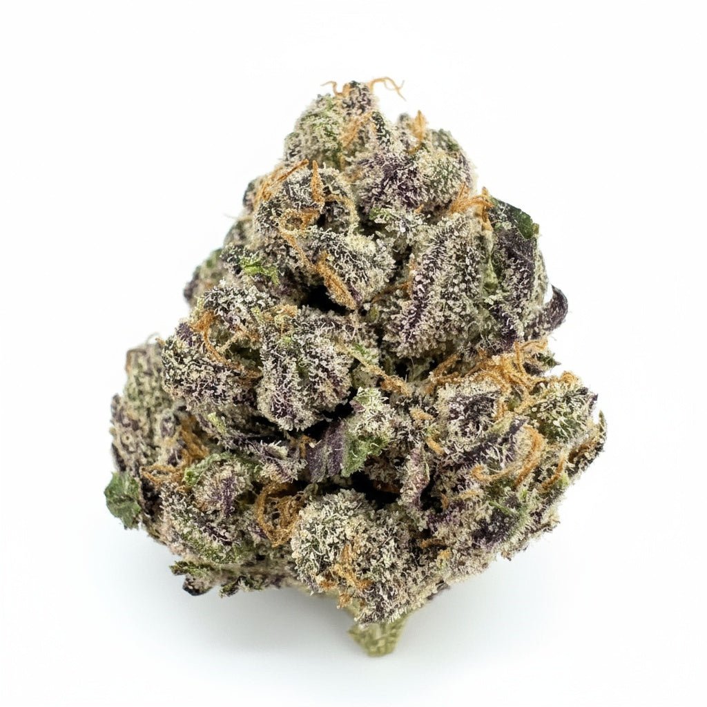 Gelato
