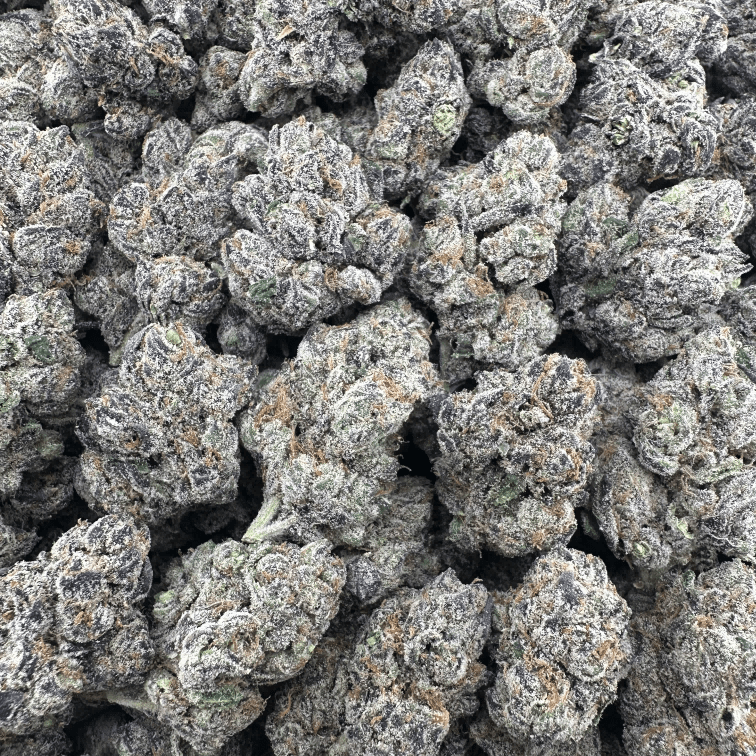 Gelato