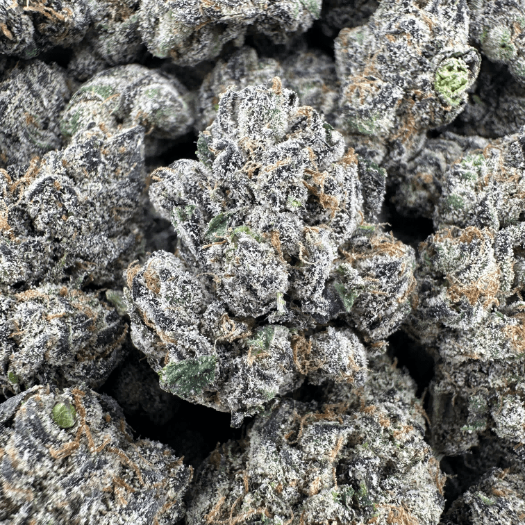 Gelato
