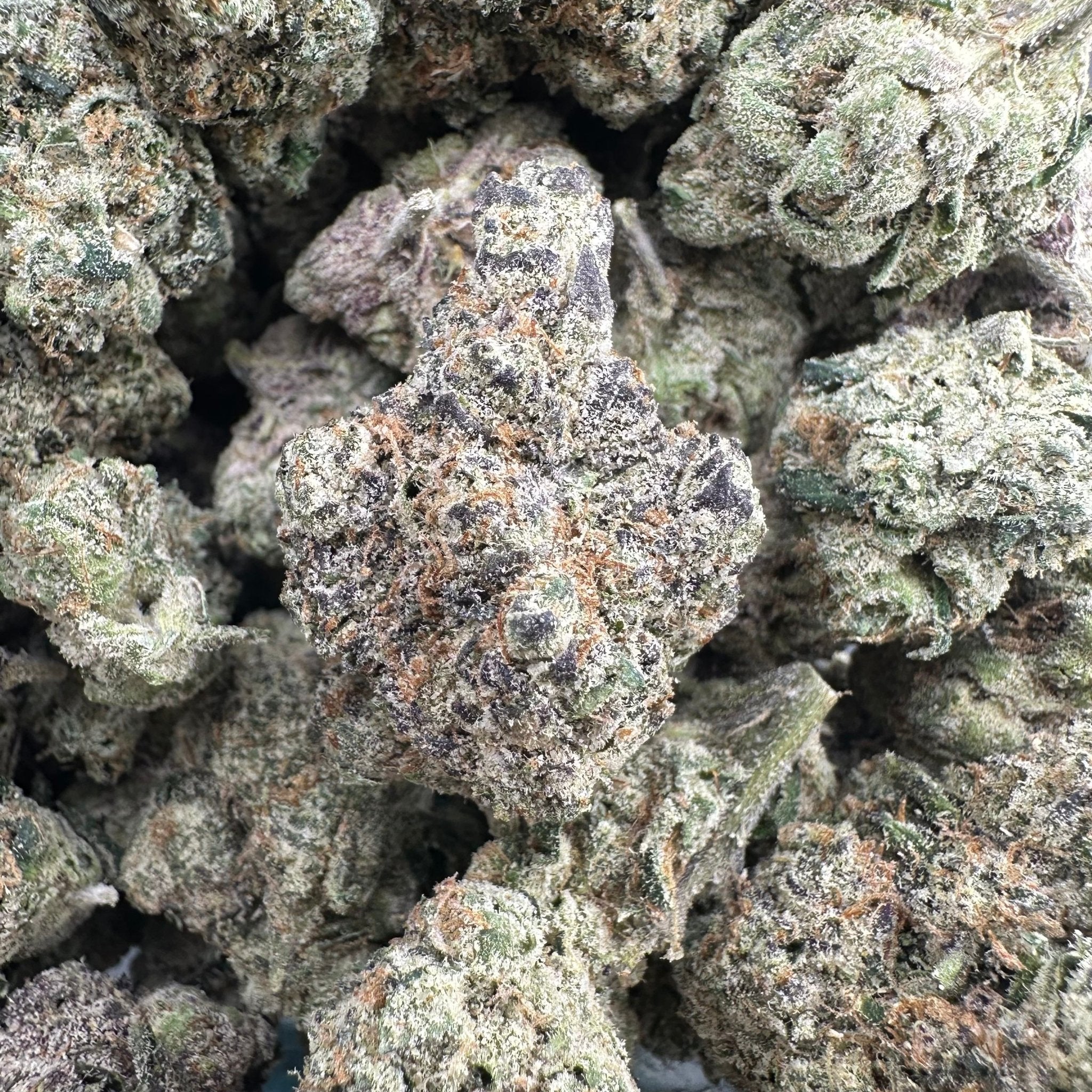 Granddaddy Purple