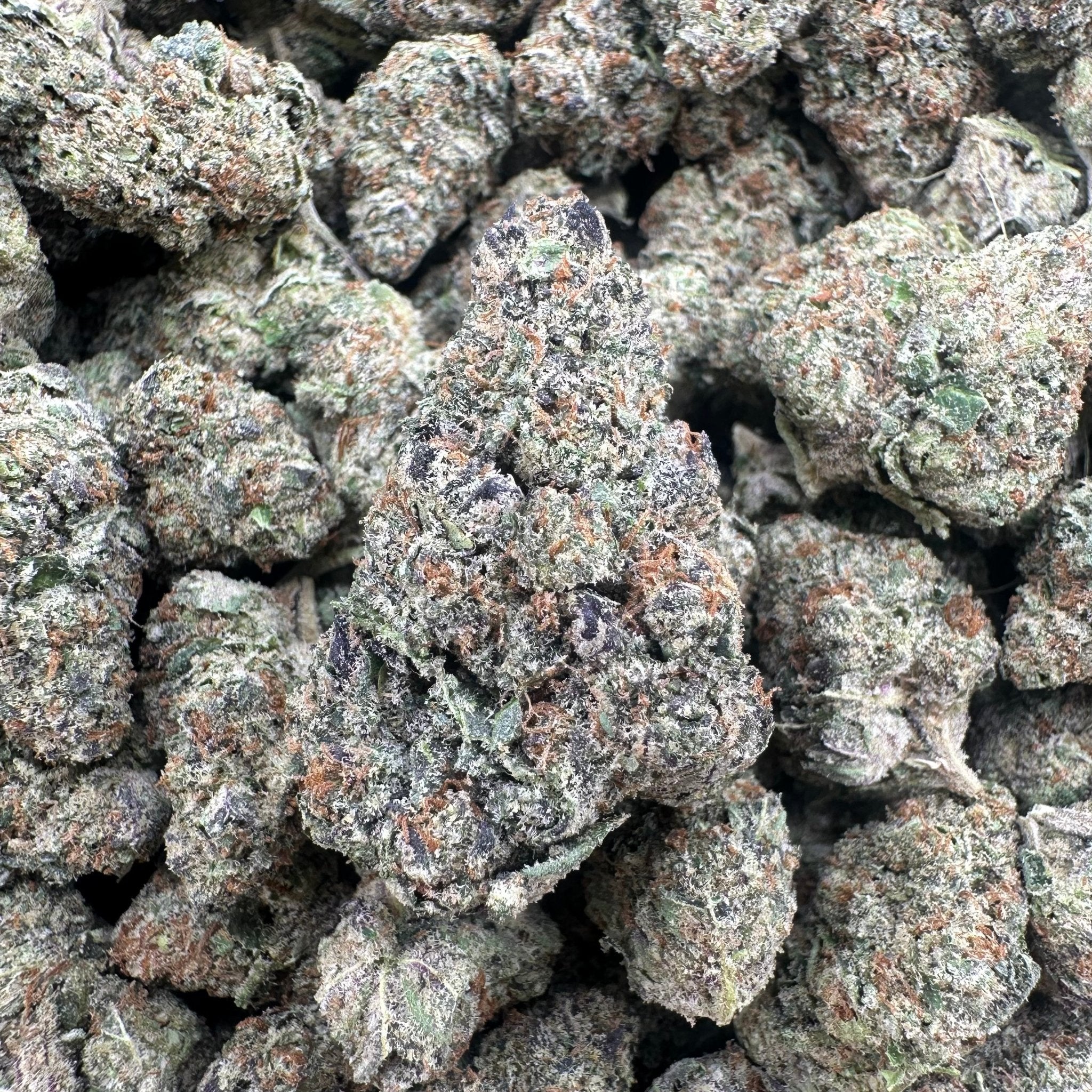 RS11 Flower Wholesale