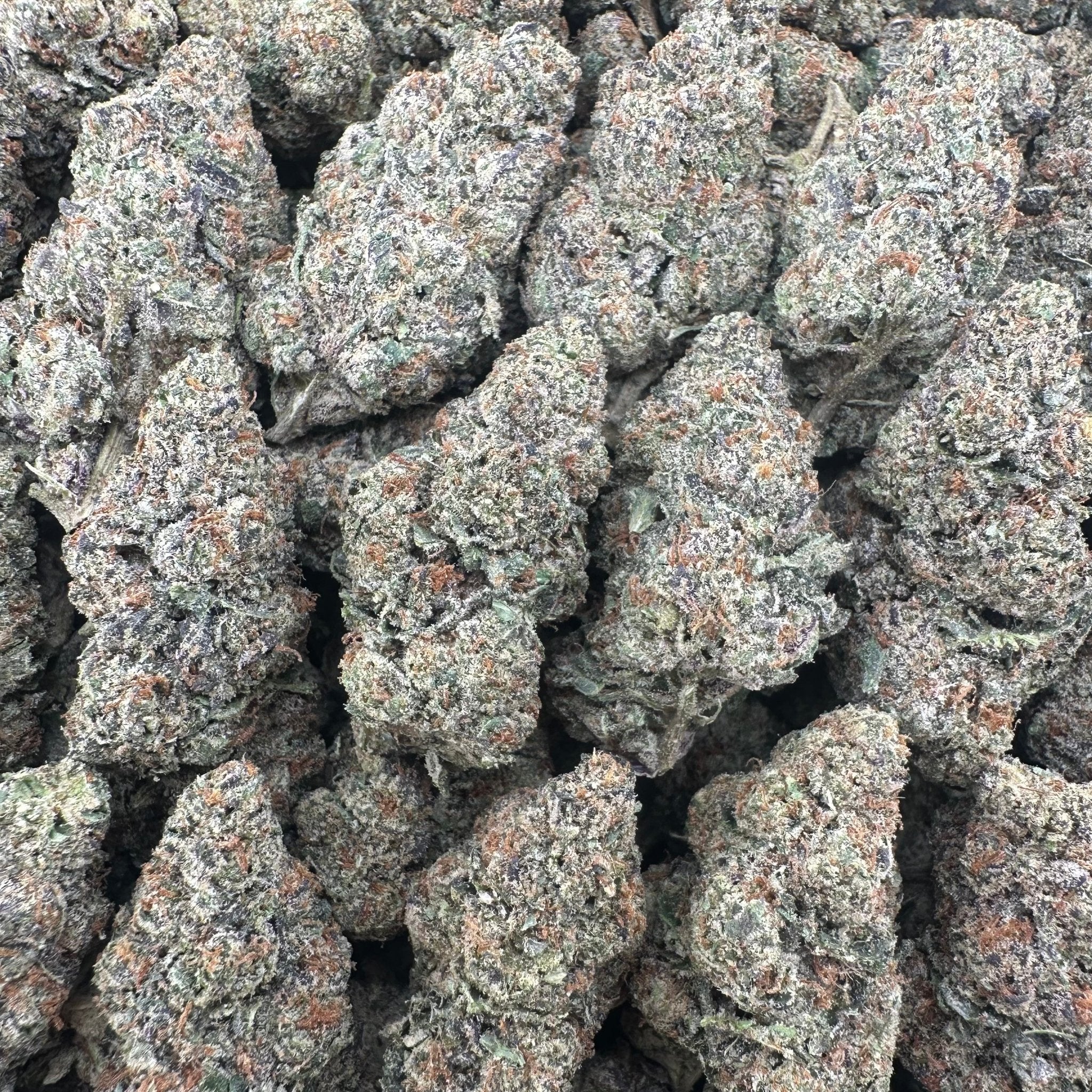 Icy Pops