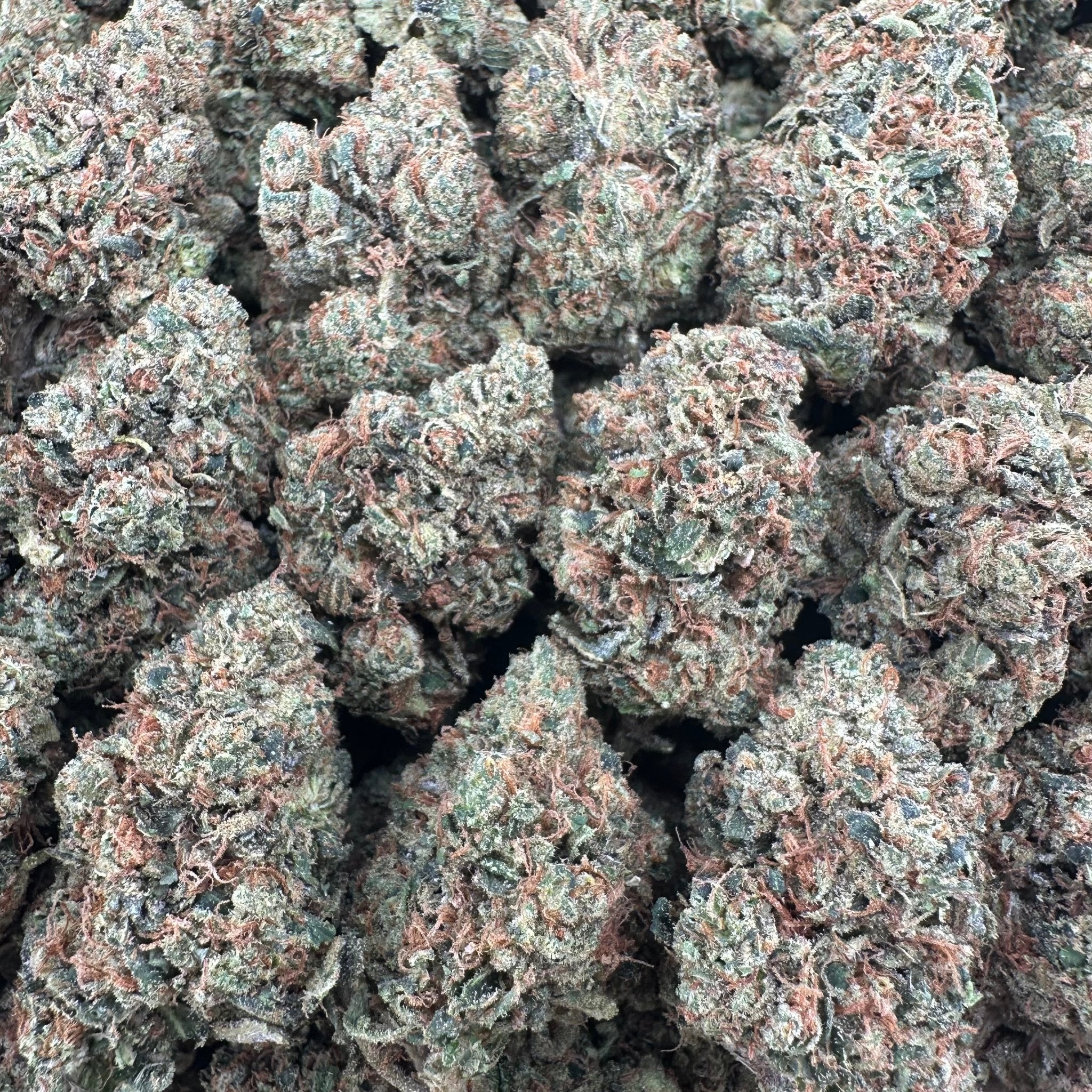 Jack Herer