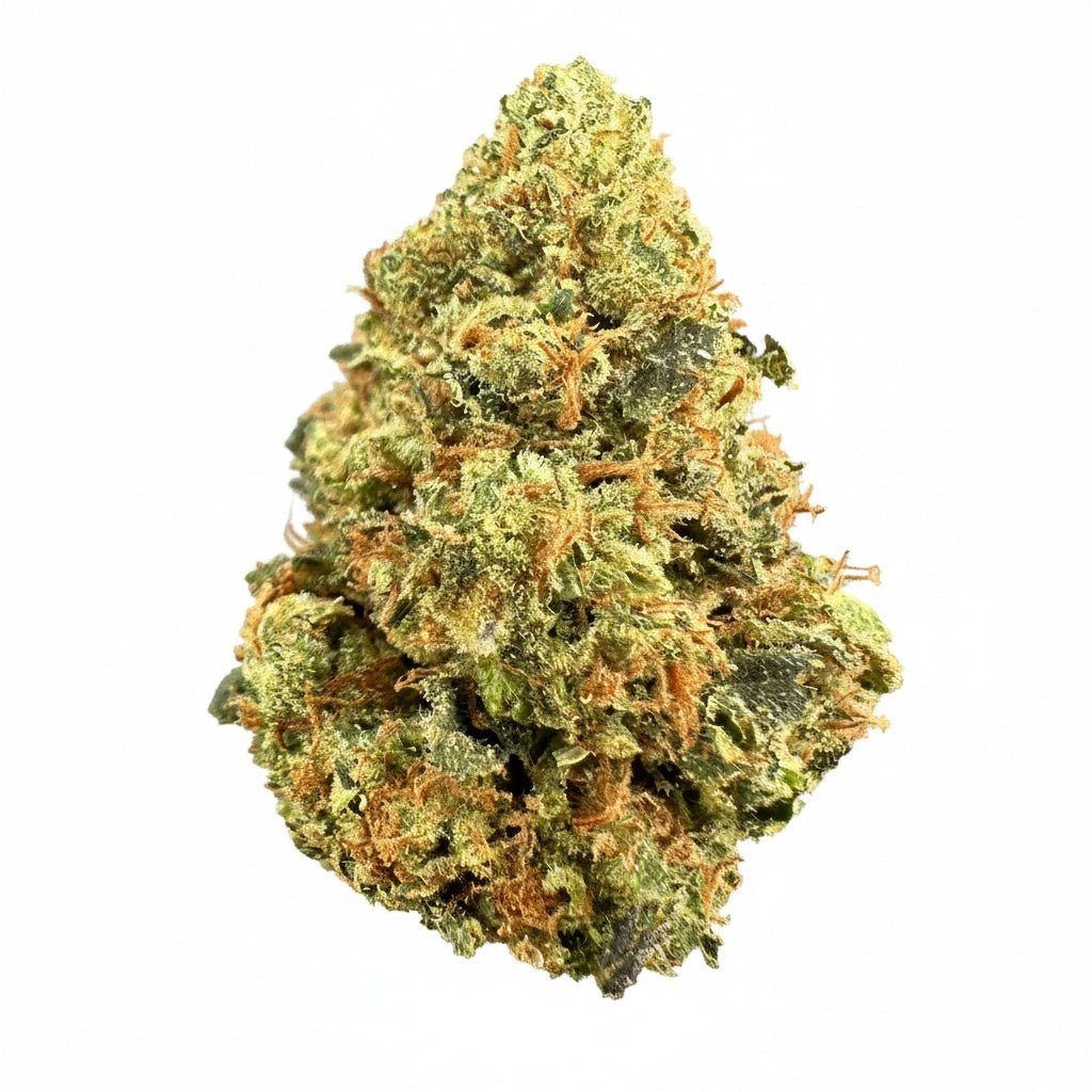Jack Herer