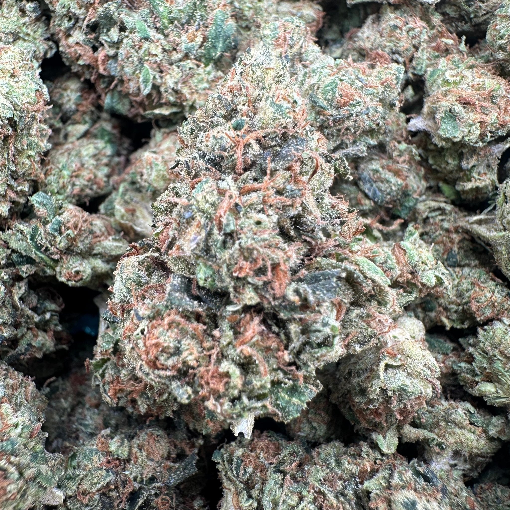 Jack Herer