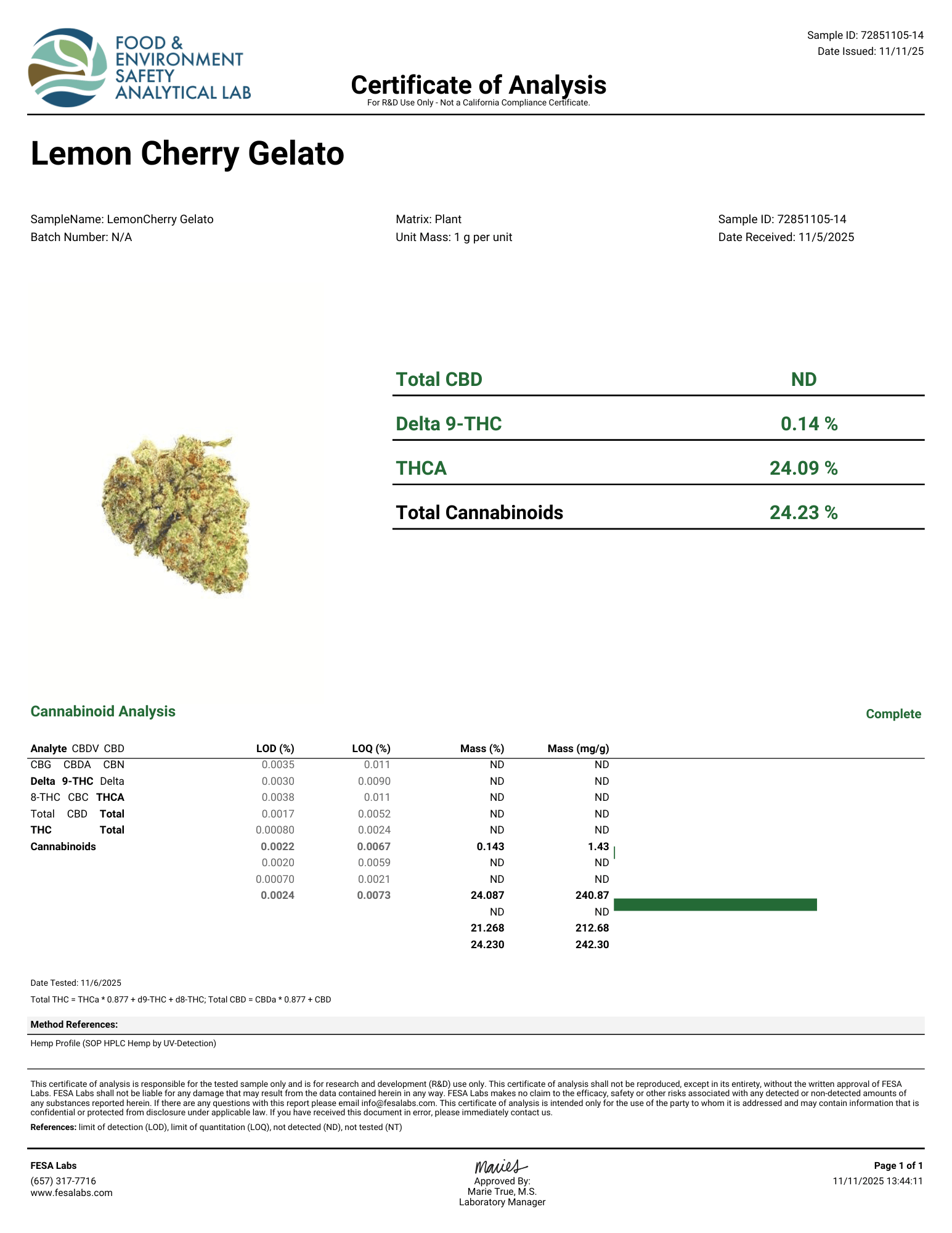 Lemon Cherry Gelato Flower