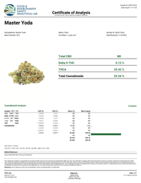 Master Yoda Flower Wholesale