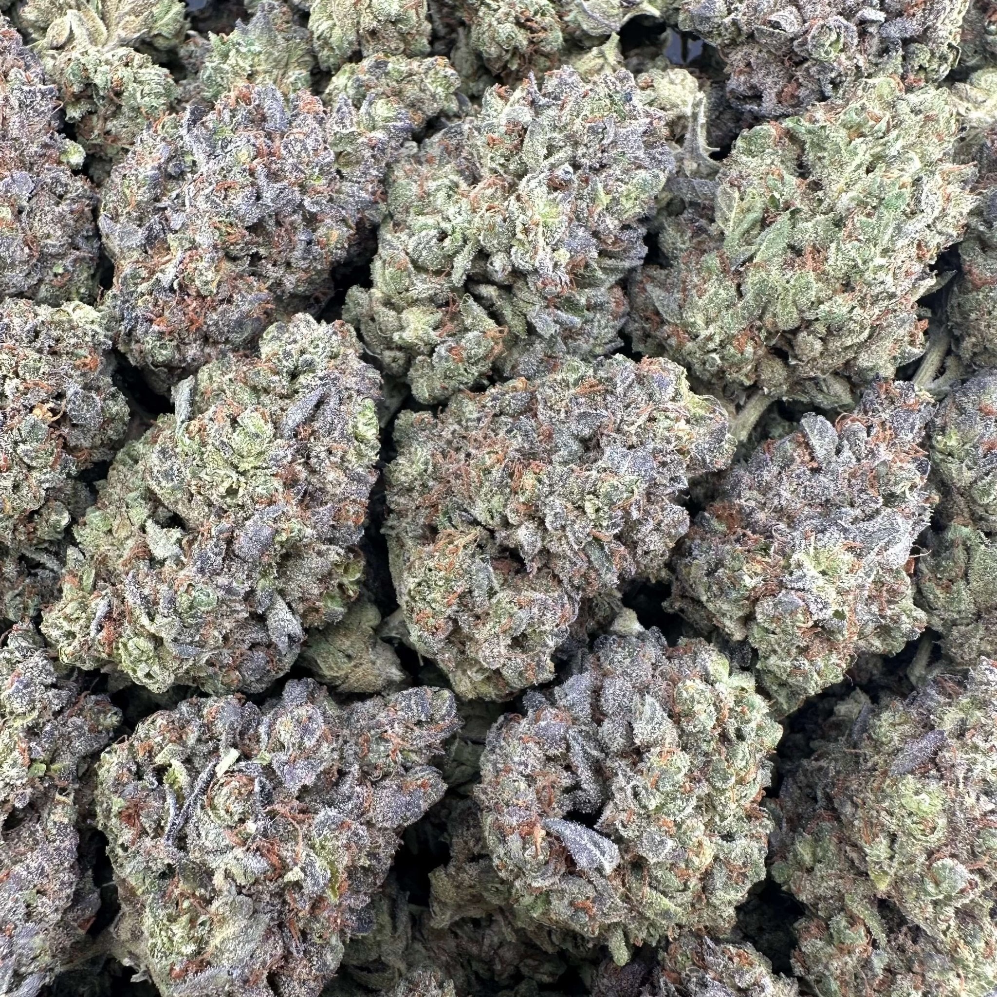 Master Yoda Flower Wholesale