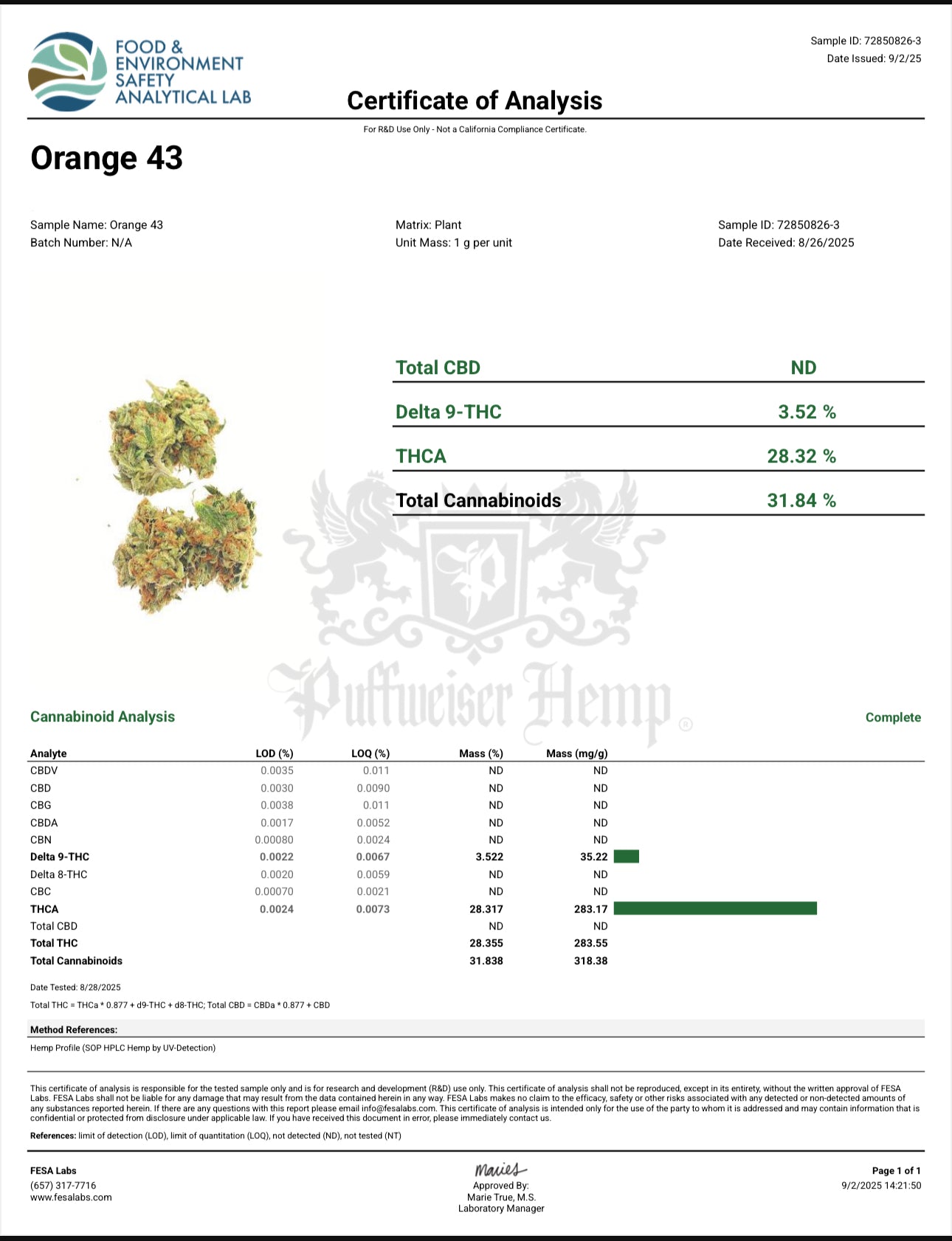 Orange 43