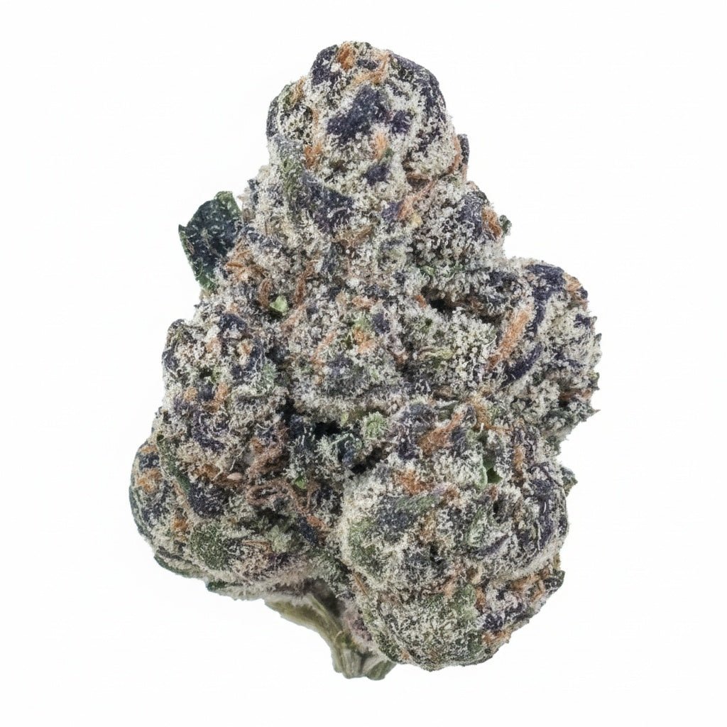 Panama Red Flower Wholesale