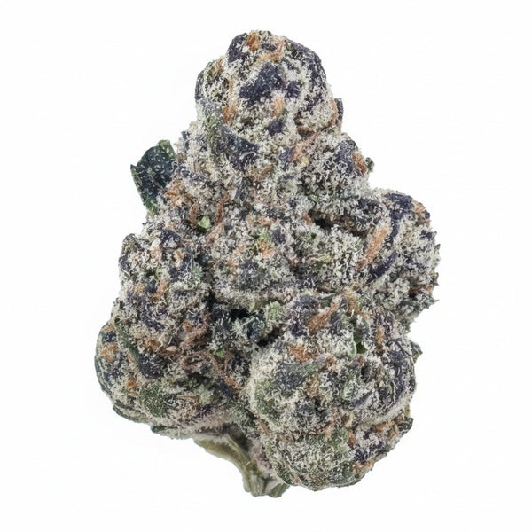 Panama Red Flower Wholesale