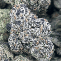Panama Red Flower Wholesale