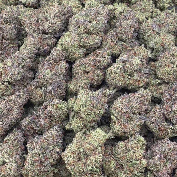 Columbia Gold Flower