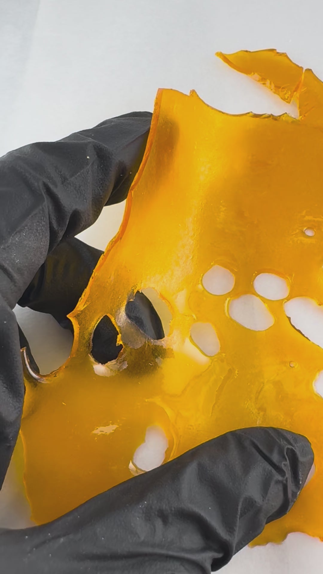Sour Tangie Shatter Wholesale