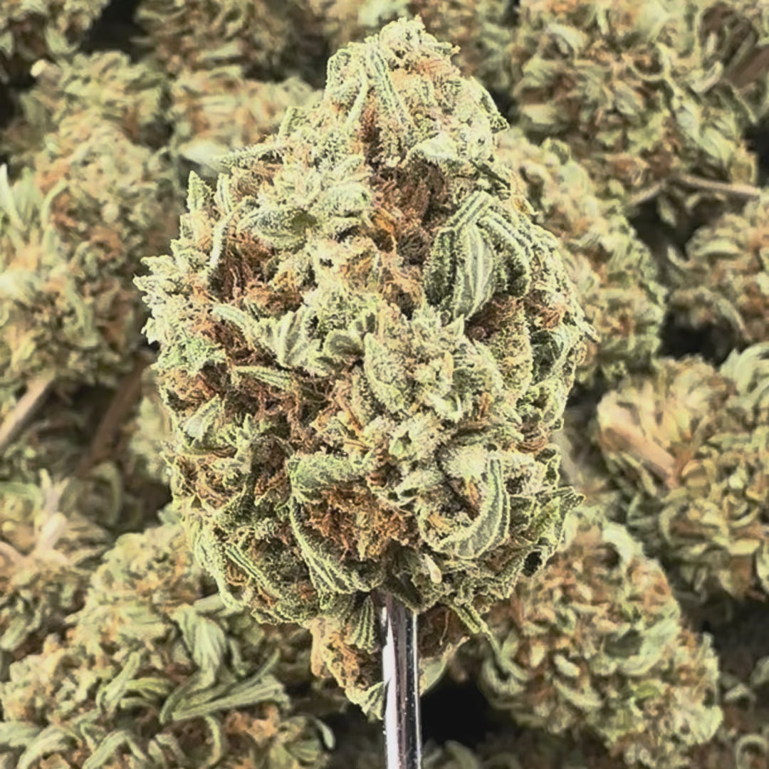 Thai Stick 28G Flower (BOGO)
