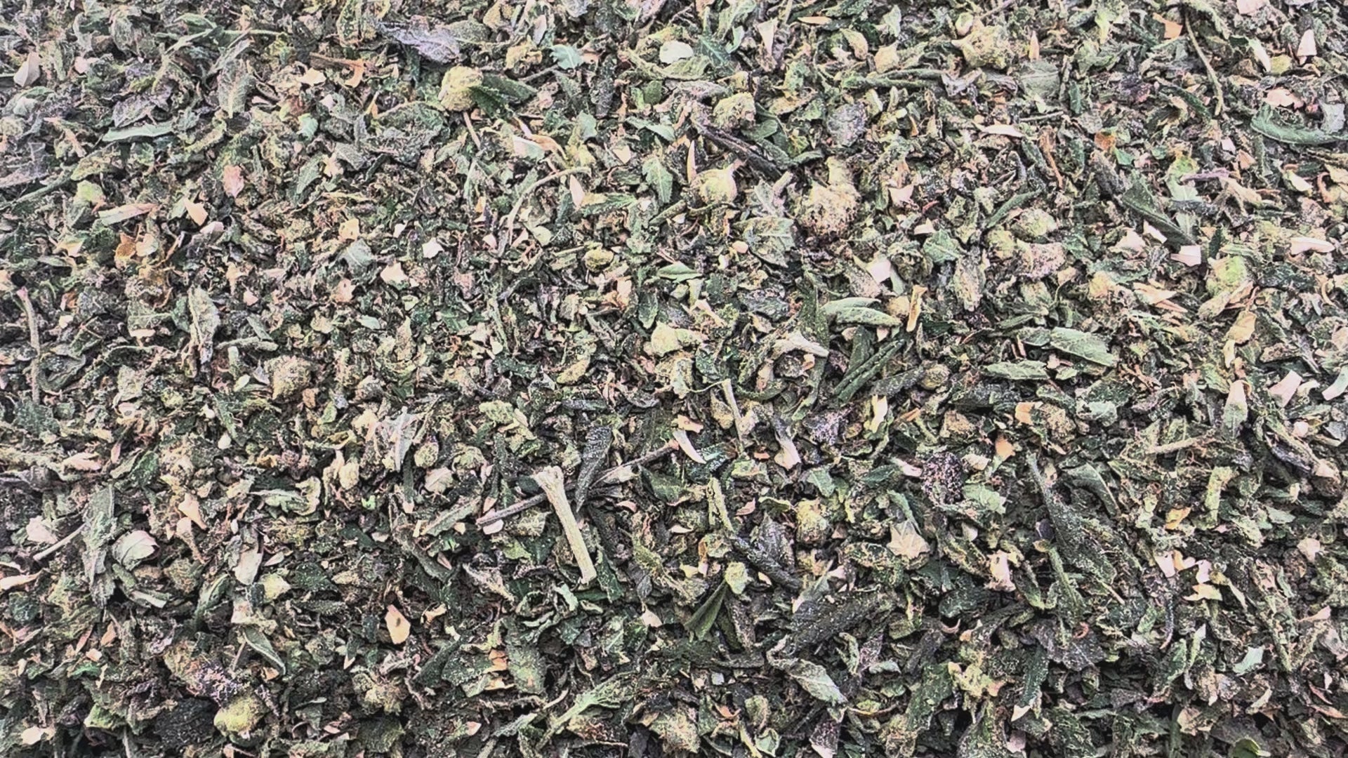 Orange 43 Shake Wholesale