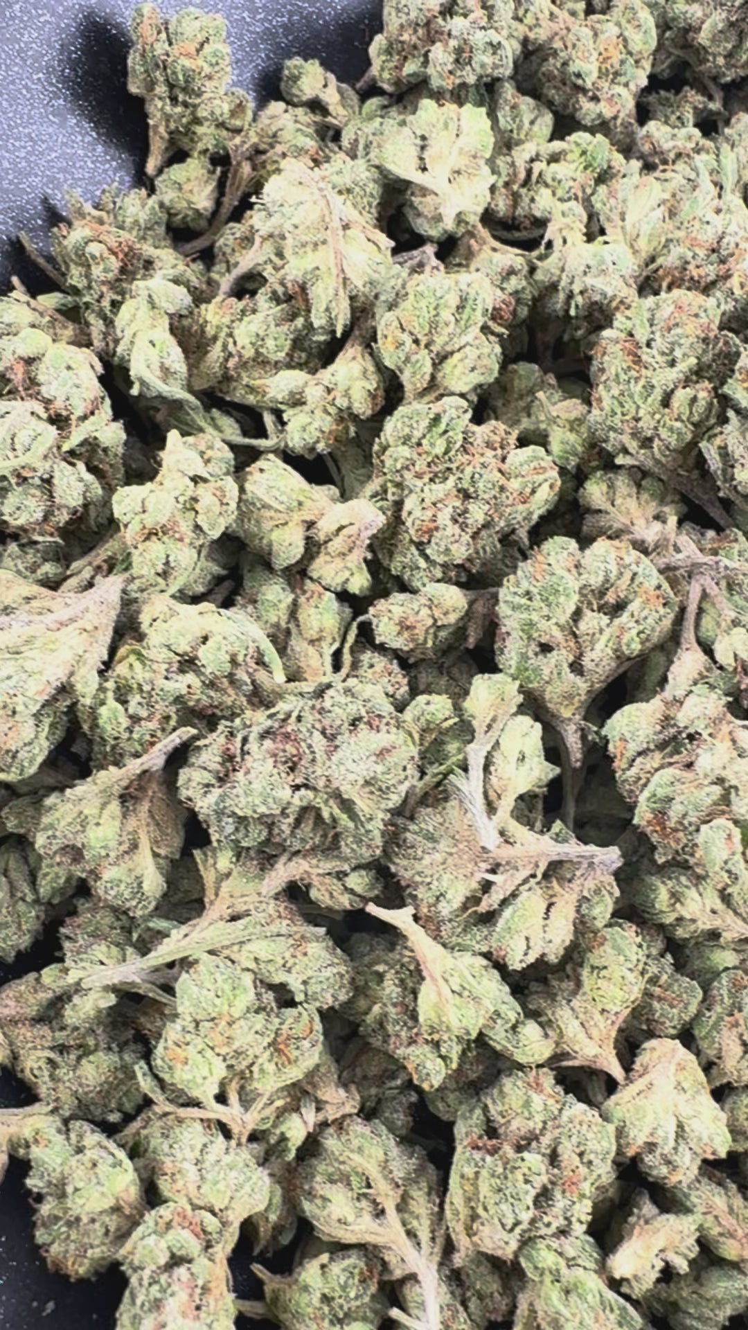 Master Yoda THCA Flower Ounce Smalls (BOGO)