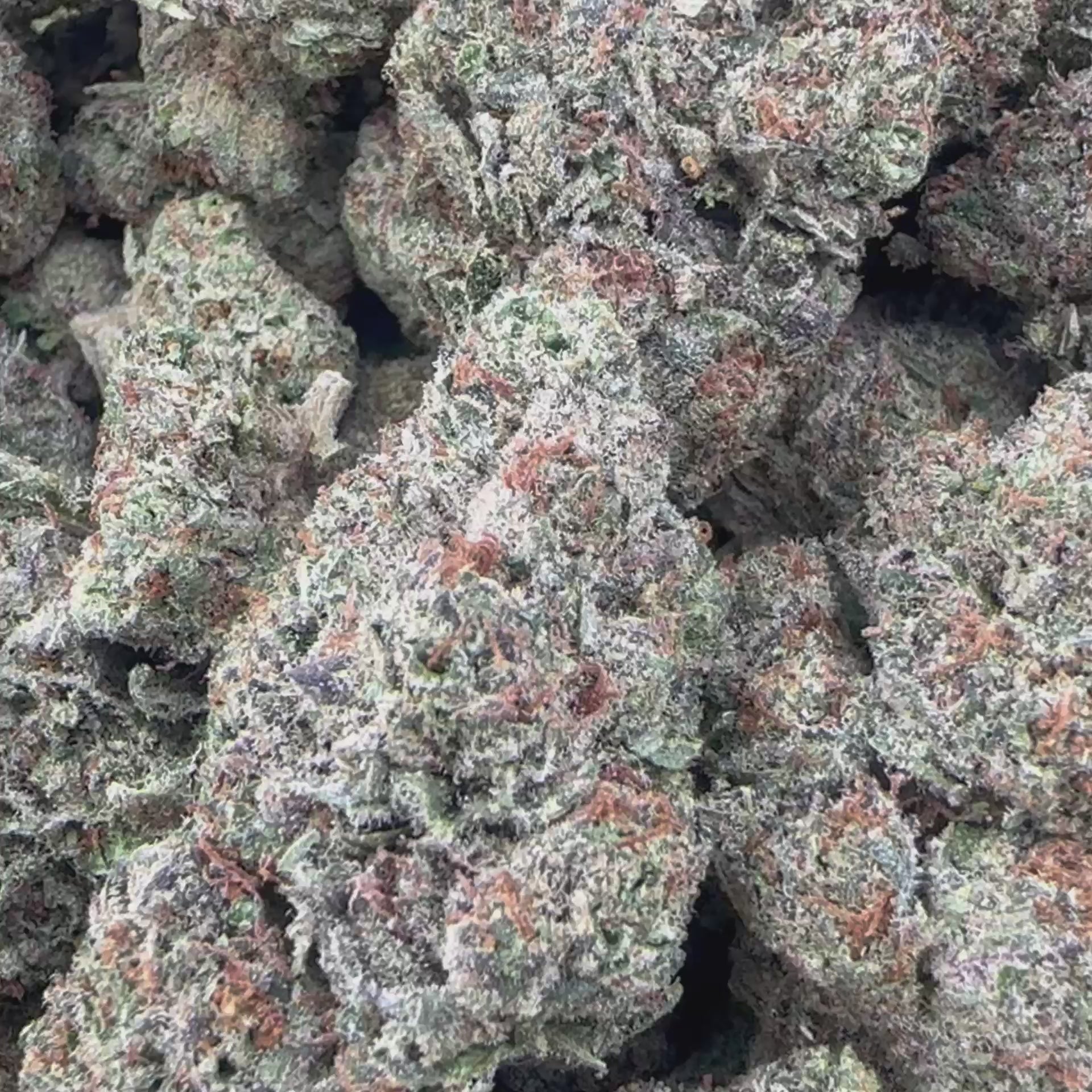 Load video: Cali Kush Flower