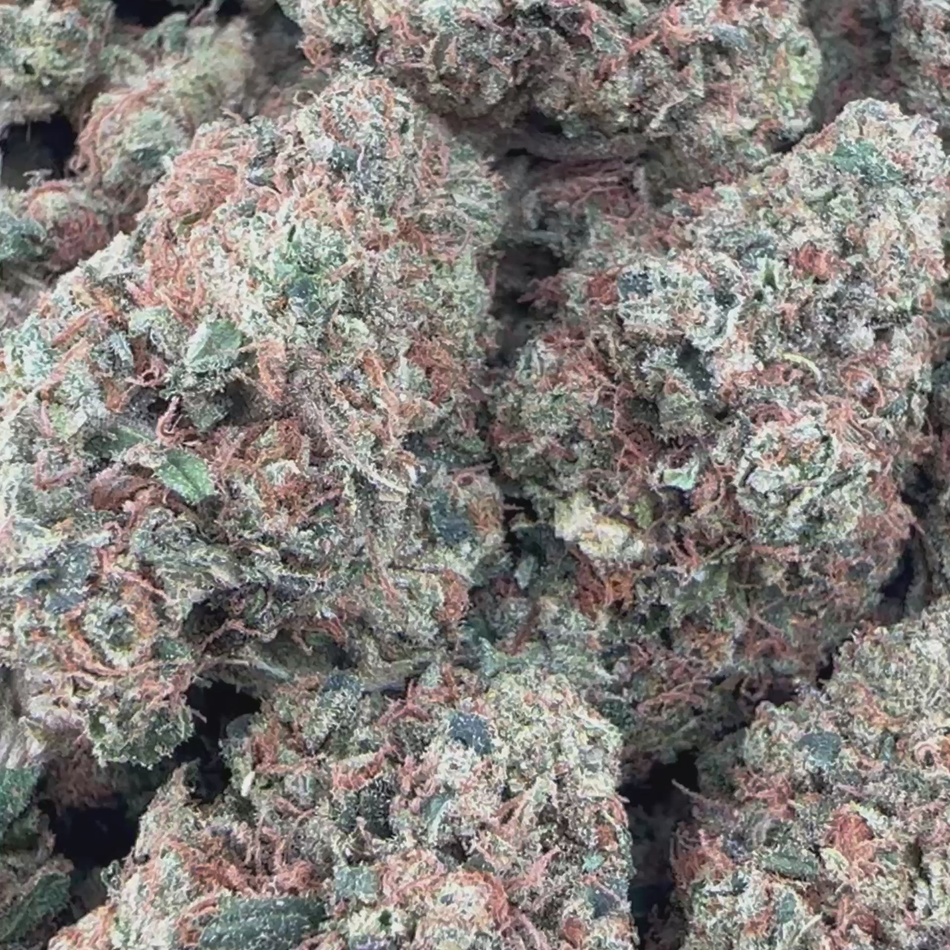 Load video: Jack Herer Flower