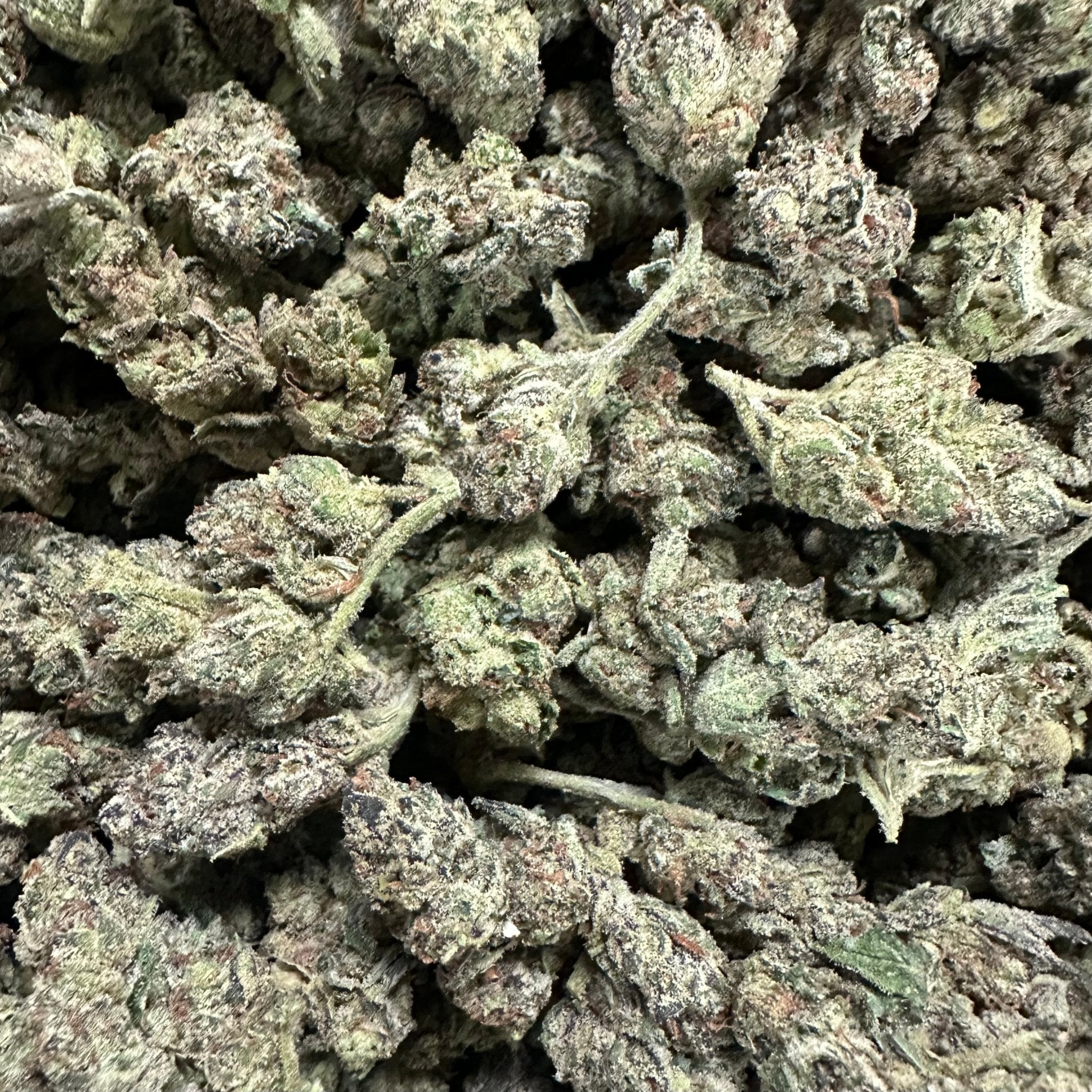 Prime Day - (BOGO)LA Runtz 7G