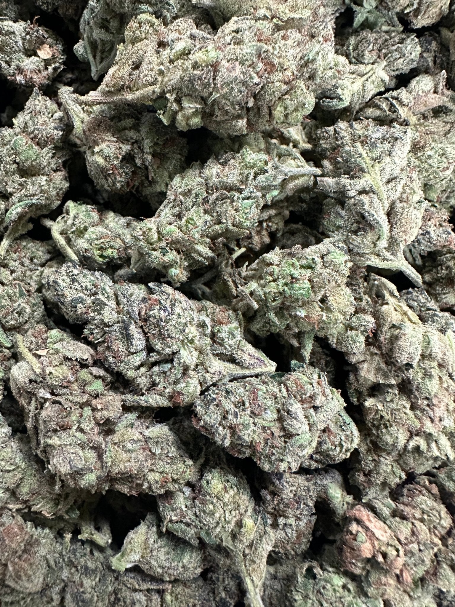 Prime Day - (BOGO)Red Runtz 7G